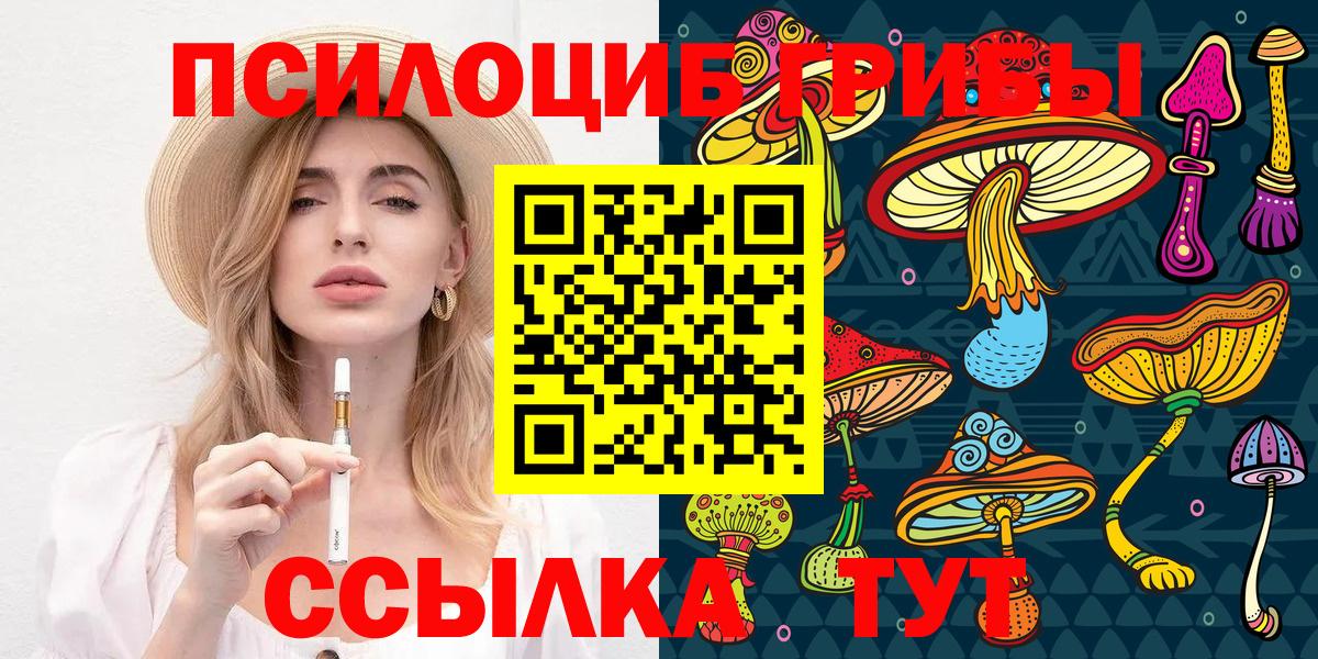 Галлюциногенные грибы Psilocybine cubensis Дивногорск