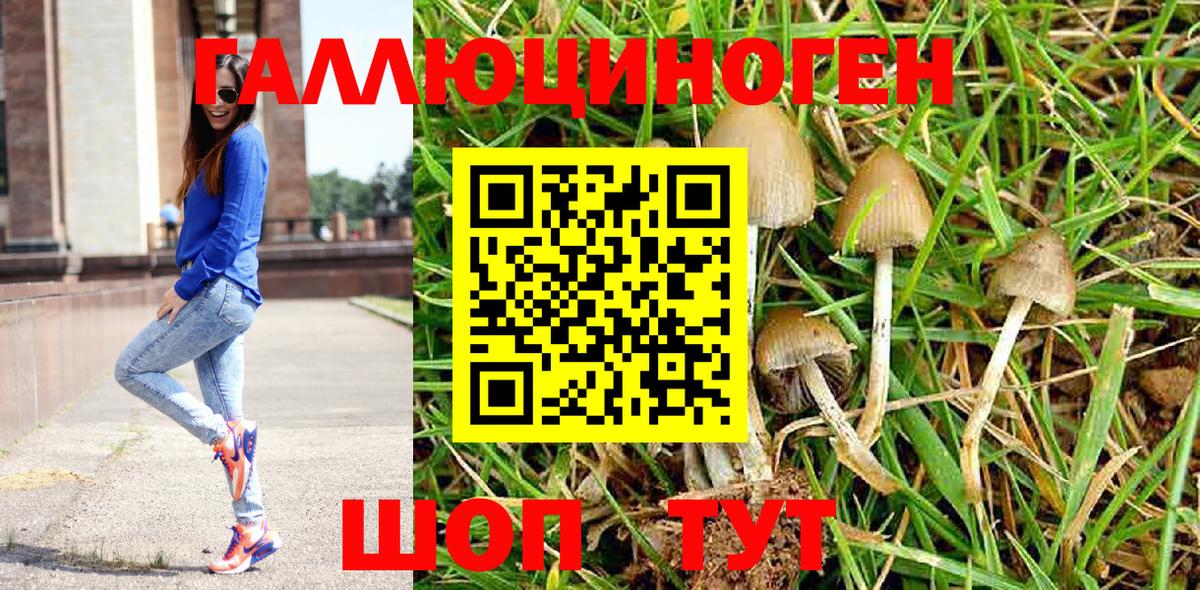 Дивногорск  Галлюциногенные грибы Psilocybe  Вход с VPN 